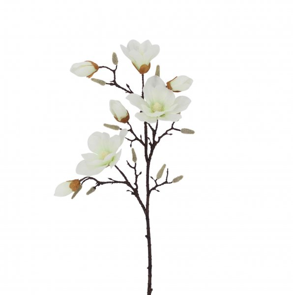 Magnolie 102 cm