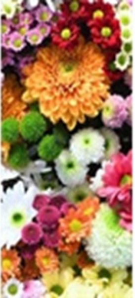 Banner Flowers 180 cm