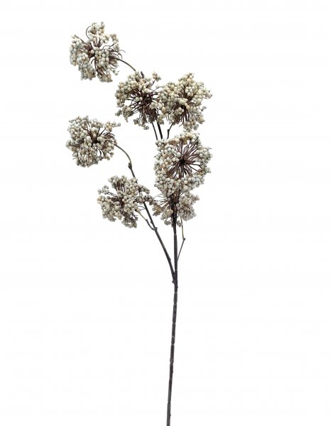 Beerenzweig creme L100cm