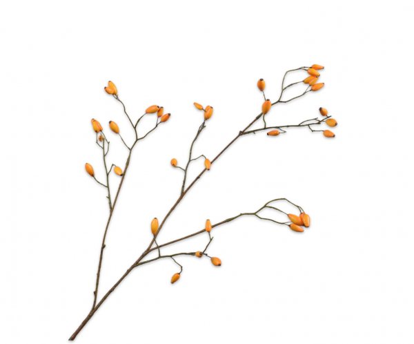 Hagebuttenzweig 92 cm