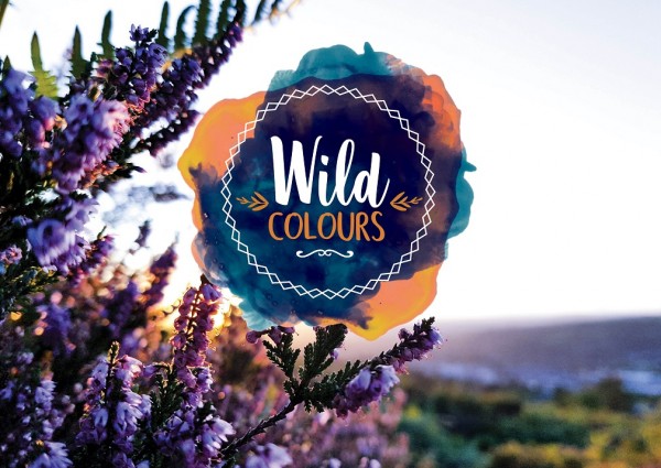 18/1 Plakat - Wild colours