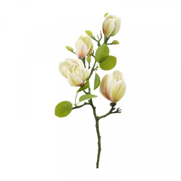 Magnolienzweig geschlossen 66 cm