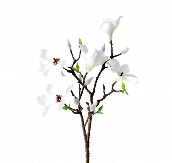 Magnolie mini Stil wß L 51 cm