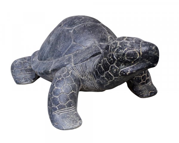 Schildkröte 45 cm