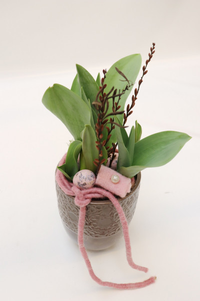Topf mit Tulpe rosa-taupe Ø13cm H30cm -frisch-