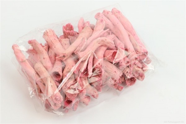 Pepe Cone rosa (60)