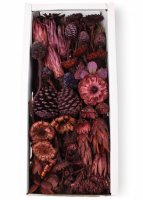 Exoten Sortiment A VE 25 St Exoten Sortiment A VE 25 St