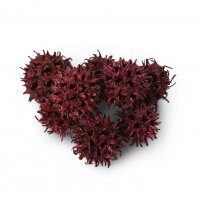 Ambertree 500 g Ambertree 500 g