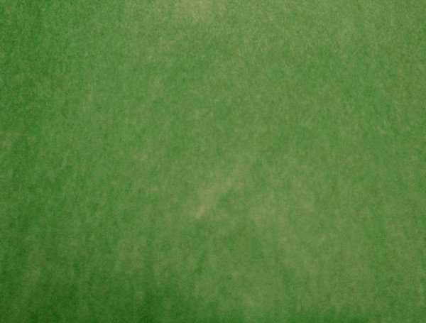 Blumenpapier de Luxe Uni 75 cm 12 kg