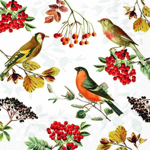 Serviette Cocktail Herbstvögel 25 cm VE Set à 20 St