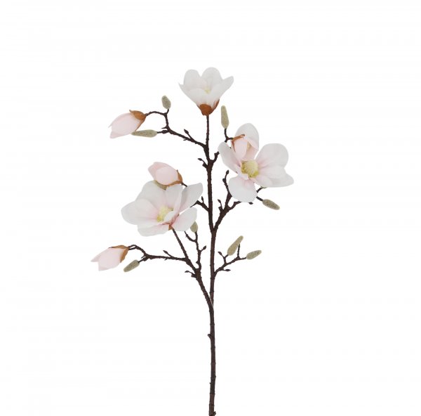 Magnolie 102 cm