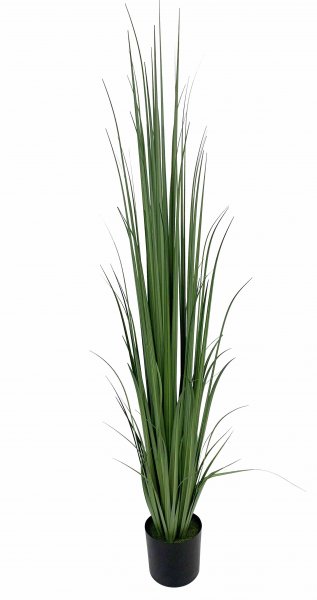 Gras getopft 180 cm