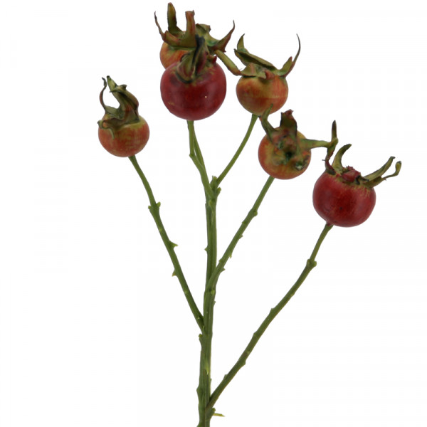 Hagebutten-Pick 36 cm