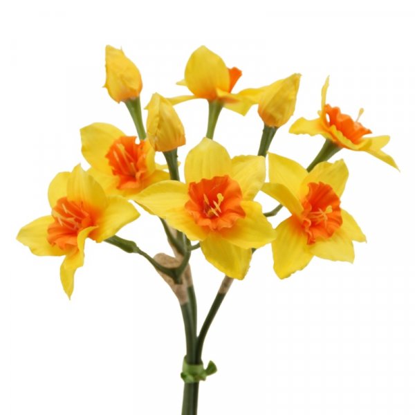 Narzissen-Bund 30 cm