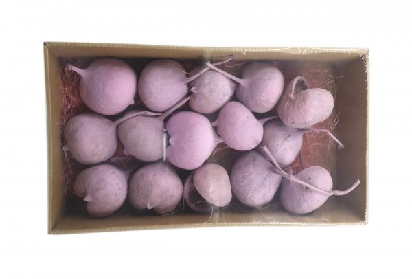 Budha Nut VE 12 St