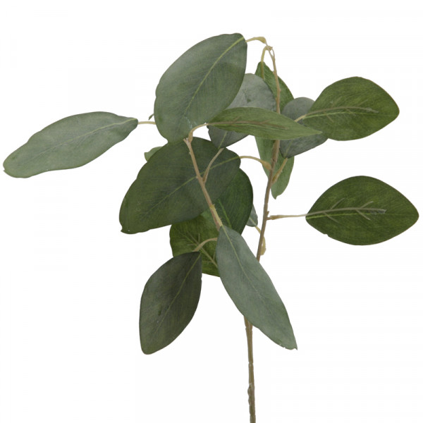 Eukalyptus-Pick 46 cm