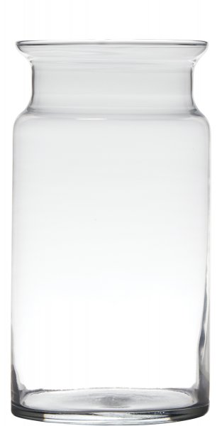 Medizinglas Michelle 29,5 cm