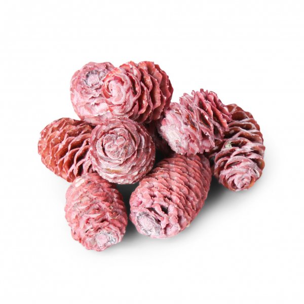 Sabulosum