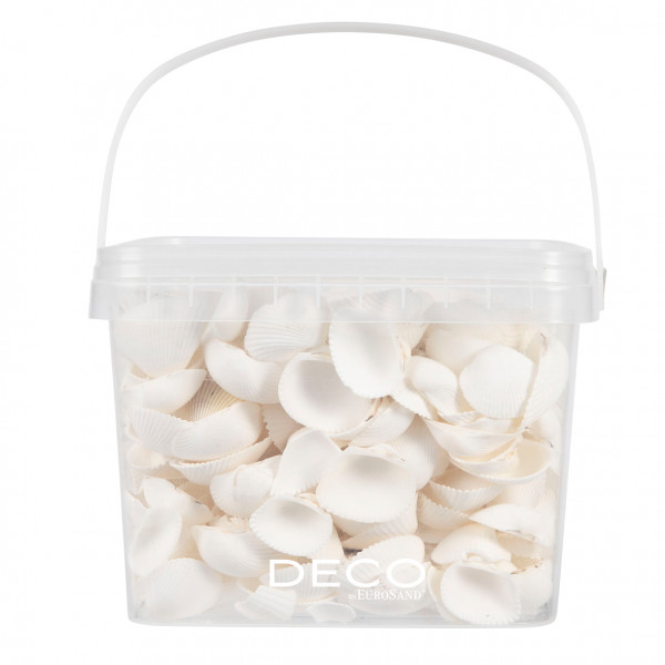 Muscheln 3,5 L