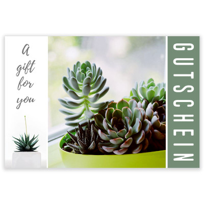 Gutscheine Urban Succulent VE 12 St