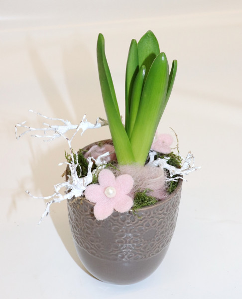 Topf mit Hyazinthe blau-taupe Ø14cm H25cm -frisch-