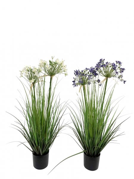 Allium-Gras getopft 2-farbig sortiert 81 cm