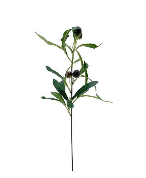 Olivenzweig 41 cm