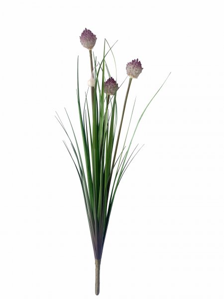 Kugelgras 61 cm