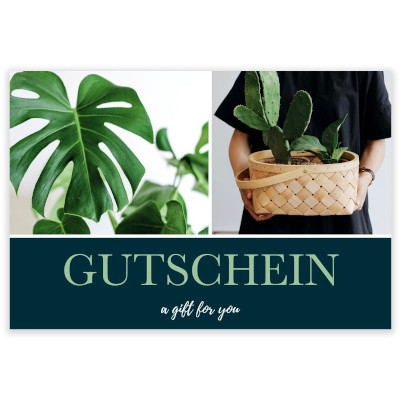 Gutscheine Urban Casa VE 12 St