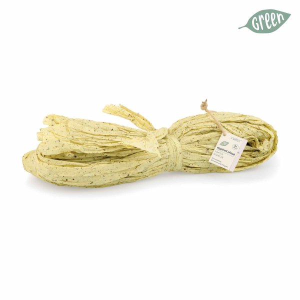 Band Eggshell B 70 cm