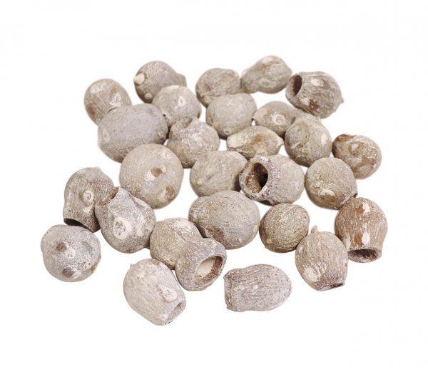 Eucalyptus Bells 500 gr