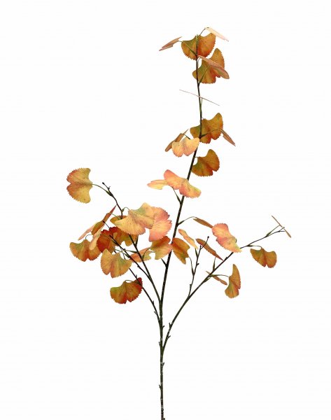 Ginkozweig 100 cm