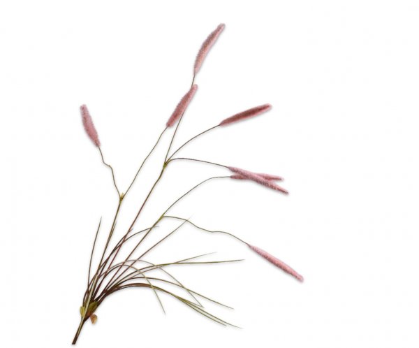 Graszweig 101 cm