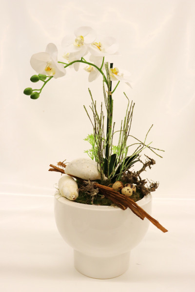 Gefäß mit Phalaenopsis weiß-grün Ø45cm H62cm