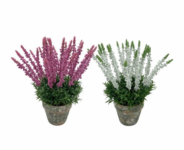 Erika getopft 2-farbig sortiert 44 cm