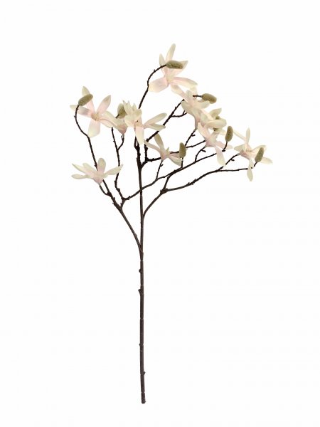 Magnolienzweig 68 cm