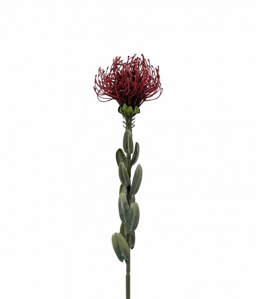 Nadelkissen 61 cm