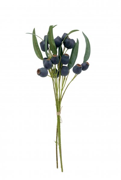 Eukalyptus-Bund mit Frucht 57 cm