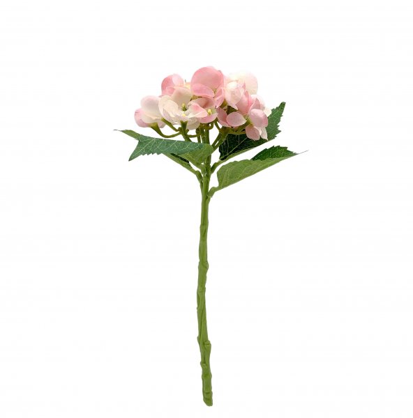 Hortensie 33 cm