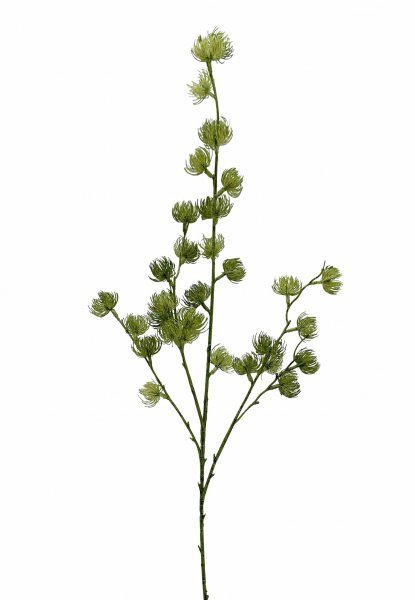 Fruchtstandzweig aus Kiefernadeln 100 cm