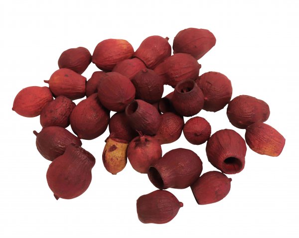 Eucalyptus Bells 500 gr