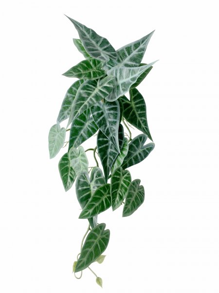 Pfeilblatt-Busch 55 cm