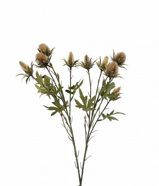 Distelzweig 68 cm