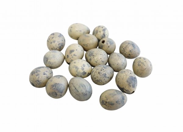 Wachteleier 3,5 cm VE 60 St