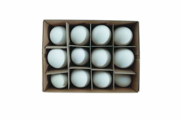 Gänseeier 9 cm VE 12 St