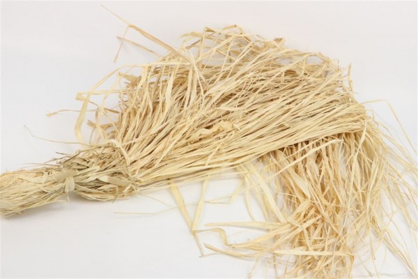 Bast im Polybeutel weiß 250g