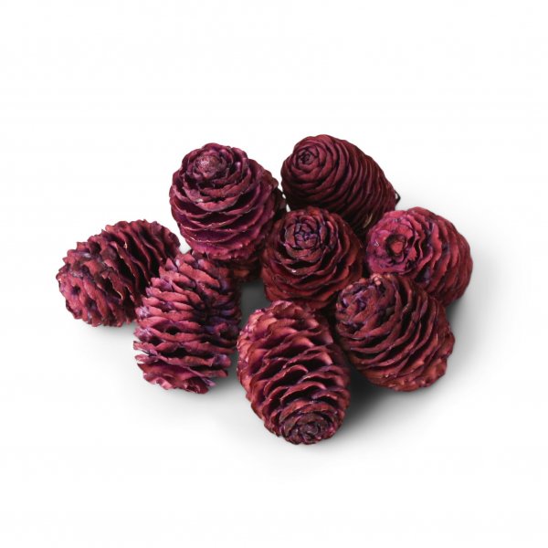 Sabulosum