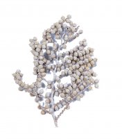 Canella VE 30 St Canella VE 30 St