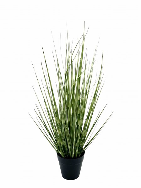 Gras getopft 53 cm