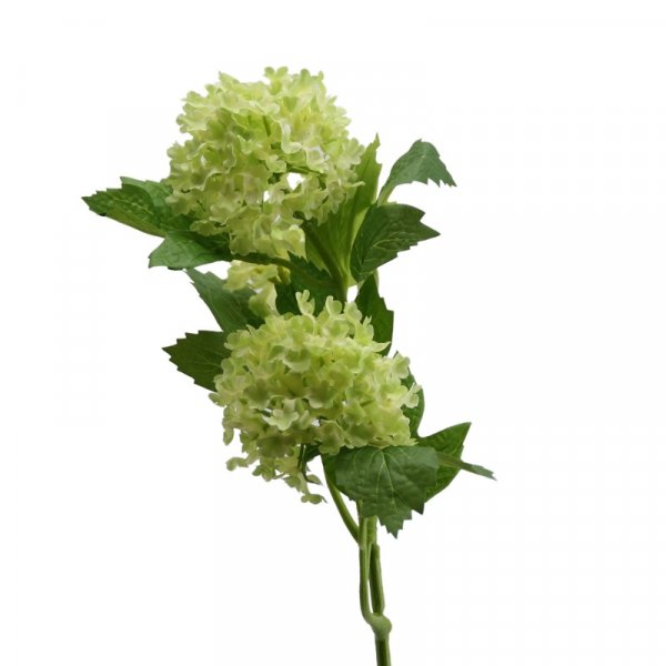 Schneeballzweig 46 cm